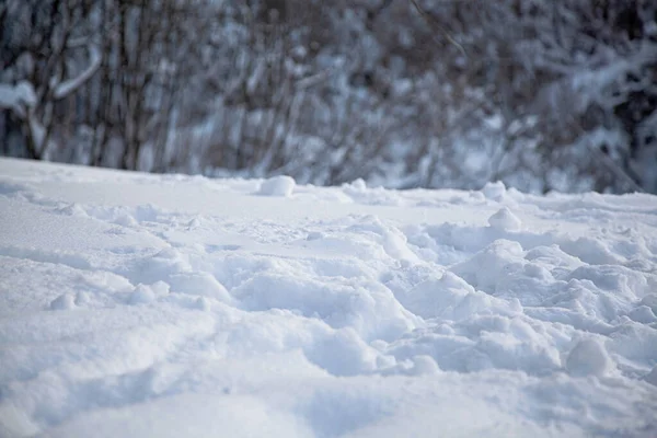 Снігове Поле Лісовим Фоном Зимовий Фон — стокове фото