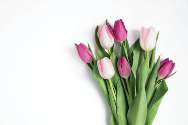 Beyaz, soyutlanmış arka planda pembe ve beyaz laleler.