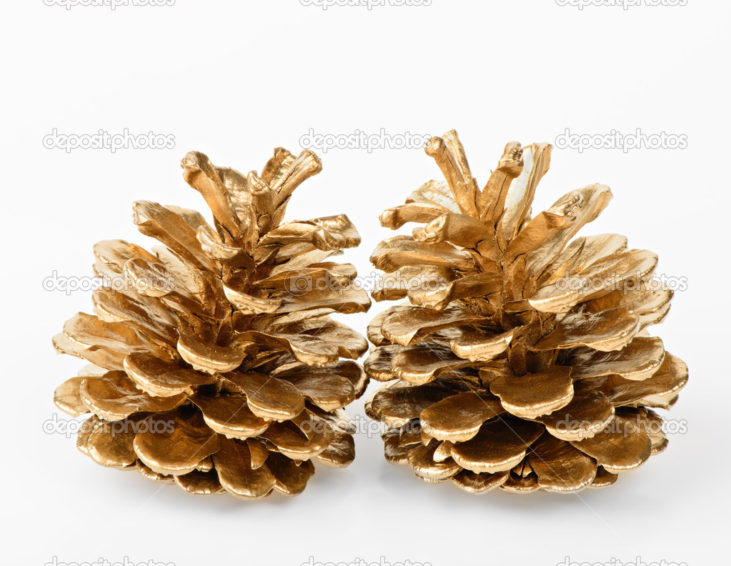 Two golden pine cones