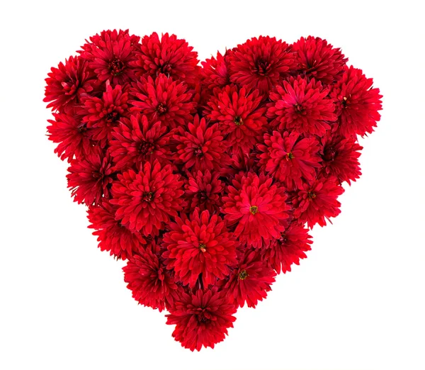 Heart from red flowers — Stock Photo, Image