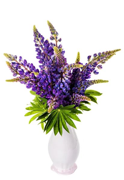 Beautiful lupine bouquet in vase — Stock Photo, Image
