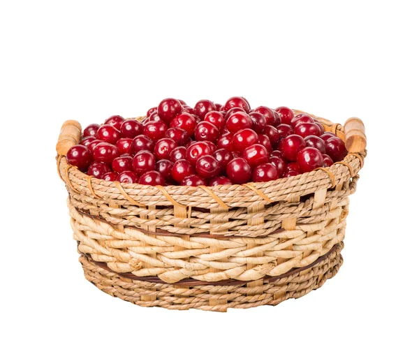 Sweet cherry in basket isolated on white background — Stock Photo, Image