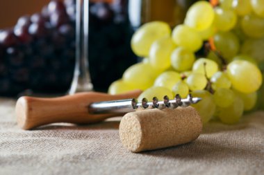 portre, tirbuşon ve mantar