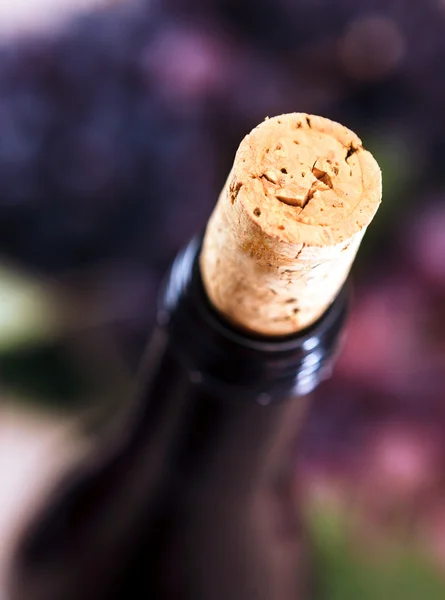 Zbliżenie butelkę wina i korka — Zdjęcie stockowe