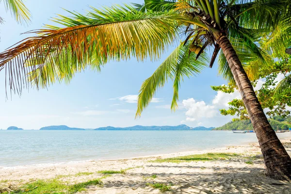 Spiaggia thai perfetta con una sabbia bianca — Foto Stock