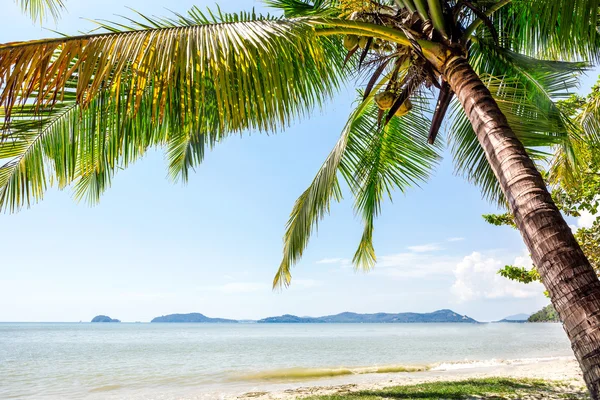 Playa tailandesa perfecta con una arena blanca —  Fotos de Stock