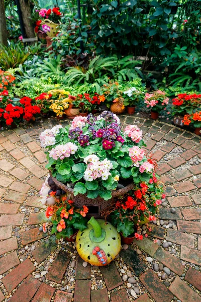 Greenhouse for the beautiful flowers — Stock Photo, Image