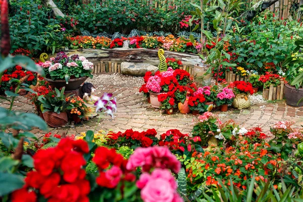 Greenhouse for the beautiful flowers — Stock Photo, Image