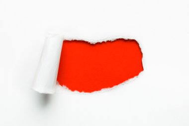 yırtık kağıt ile yer