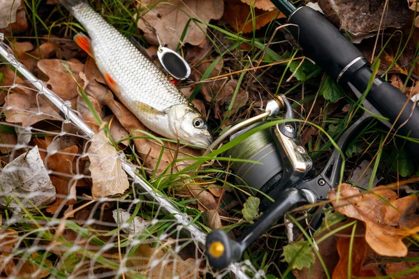 Fishing tackle on wooden surface. — Stock Photo, Image