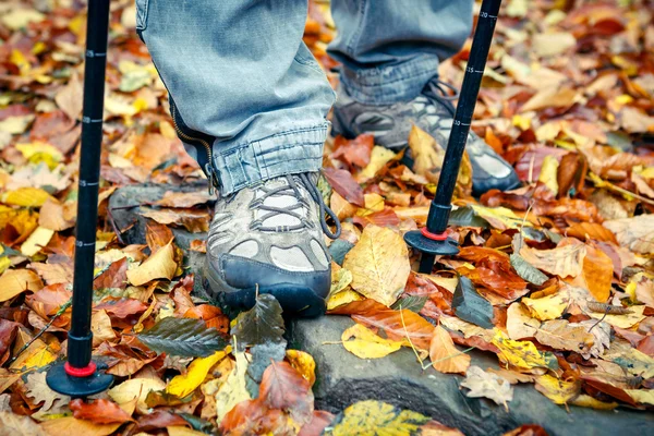Close-up van het bijhouden van schoenen en Polen op Herfstbladeren. — Stockfoto