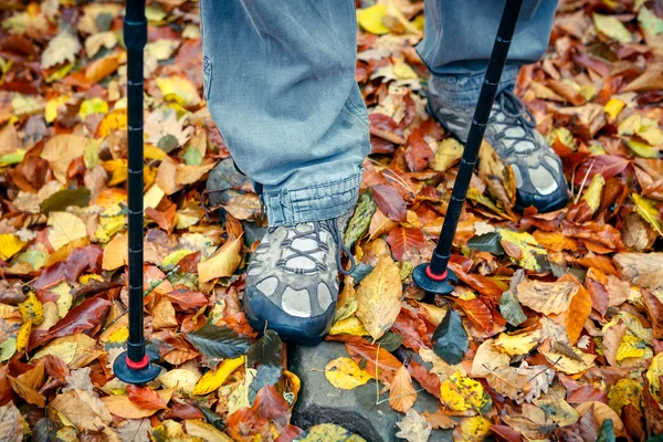 Gros plan des chaussures de suivi et des bâtons sur les feuilles d'automne . — Photo