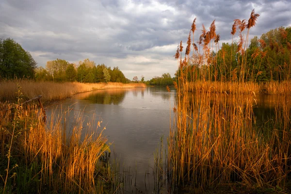 Řeka při západu slunce. — Stock fotografie