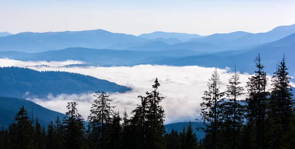 Karpat Dağları Nda Güzel Hills Adlı Gündoğumu Ukrayna — Stok fotoğraf