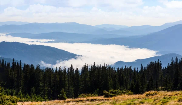 Piękne Wzgórza Mgła Karpatach Ukraina — Zdjęcie stockowe