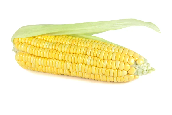 Kukorica elszigetelt fehér — Stock Fotó