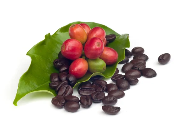 Coffee beans with leaf . — Stock Photo, Image