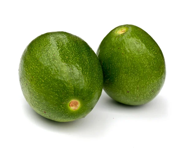 Avocat frais . — Photo