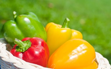 ahşap sepeti taze tatlı kırmızı biber