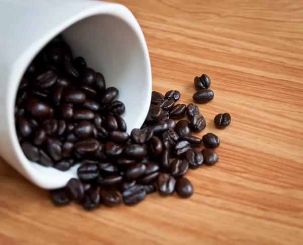 Kaffebönor med vit kaffekopp . — Stockfoto