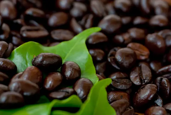 भुना हुआ कॉफी बीन्स  . — स्टॉक फ़ोटो, इमेज