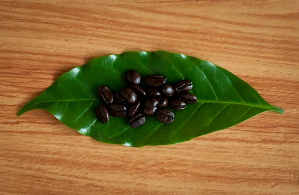 Roasted coffee beans . — Stock Photo, Image