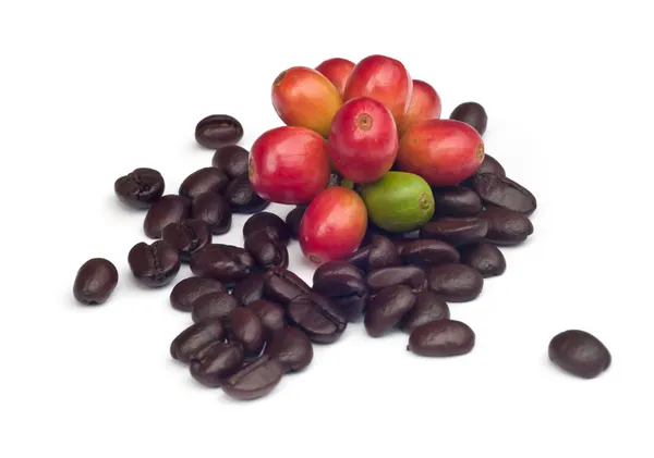 Coffee beans . — Stock Photo, Image