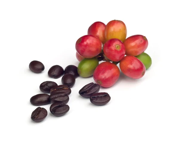 Coffee beans . — Stock Photo, Image