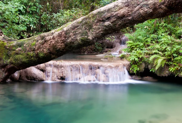 Beautiful waterfall. — Stock Photo, Image