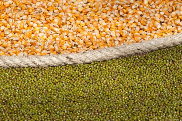 穀物種子 — ストック写真
