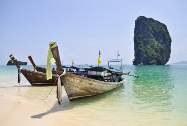 Vintage marco dorado sobre fondo floral. ilustración vectorial