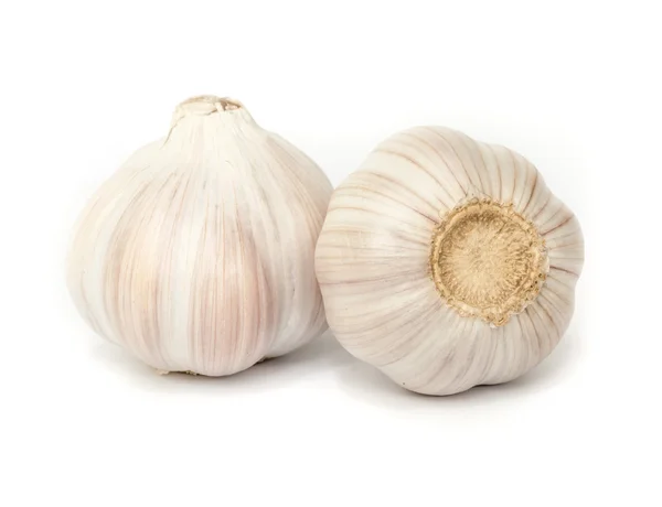 Garlic isolated on white background. — Stock Photo, Image