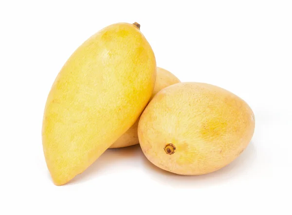 Плоды манго . — стоковое фото