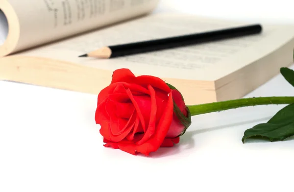 Rosa roja en el libro . — Foto de Stock