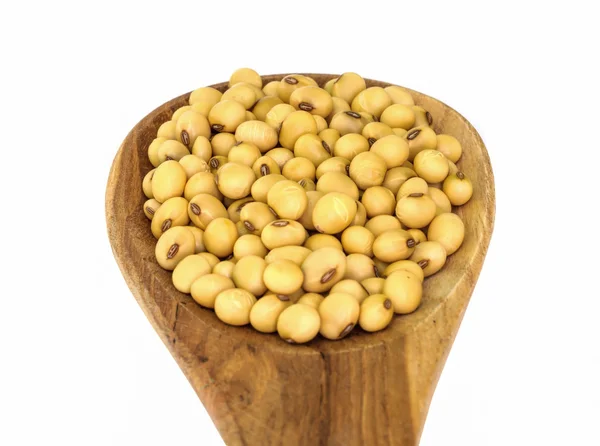 Soybean. — Stock Photo, Image