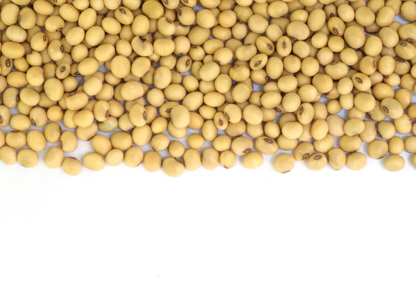 Soy beans . — Stock Photo, Image