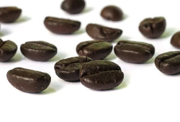 Coffee beans seed . — Stock Photo, Image