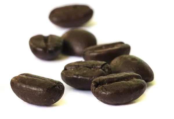 Coffee beans seed . — Stock Photo, Image