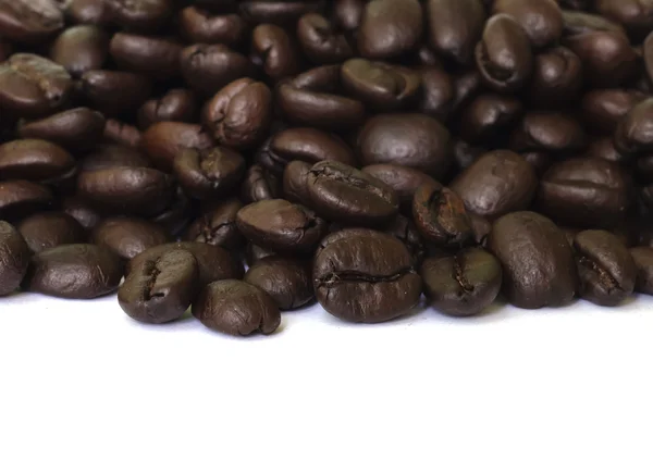 Coffee bean seed . — Stock Photo, Image