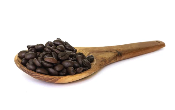 Coffee bean seed. — Stock Photo, Image