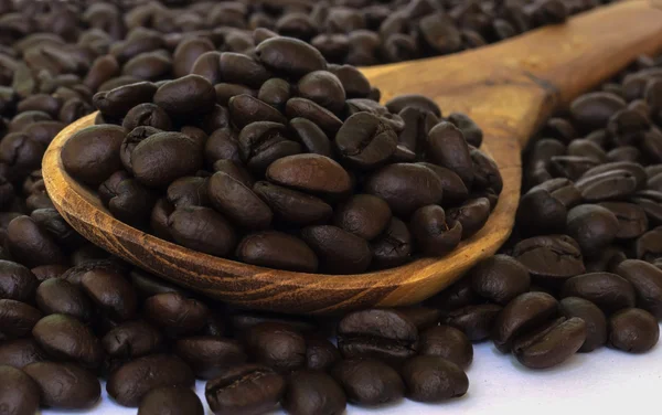 Sementes de café . — Fotografia de Stock