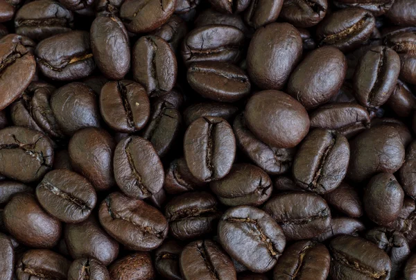 Kaffeebohnen-Samen — Stockfoto