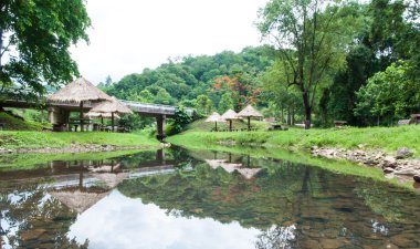 Bahçe doğal gölet.