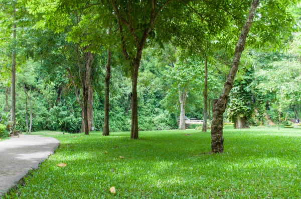 Phu Milli Parkı şarkı söyledi.. — Stok fotoğraf