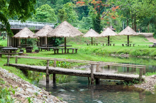 Natural pond in garden. — Stock Photo, Image