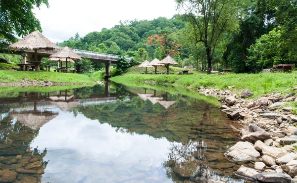 Laghetto naturale in giardino . — Foto Stock