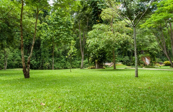 Parque Nacional Phu Sang . —  Fotos de Stock