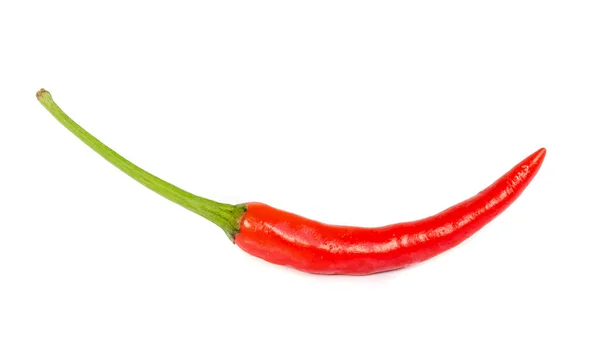 Red hot chili pepper. — Stock Photo, Image