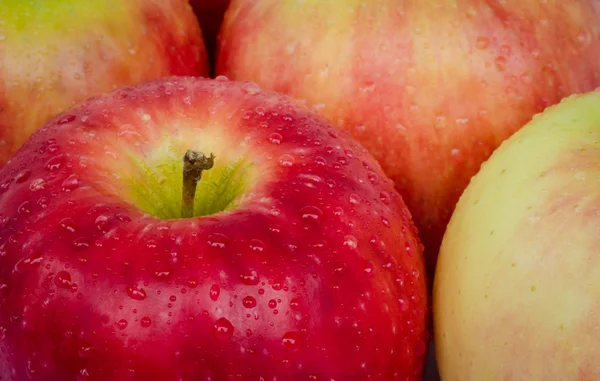 Fresh red apple. — Stock Photo, Image