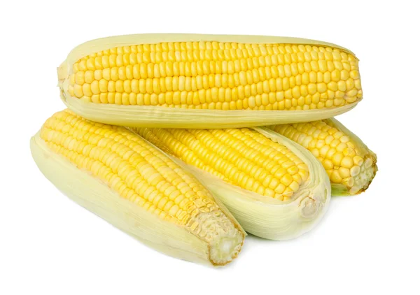 Čerstvé kukuřice. — Stock fotografie